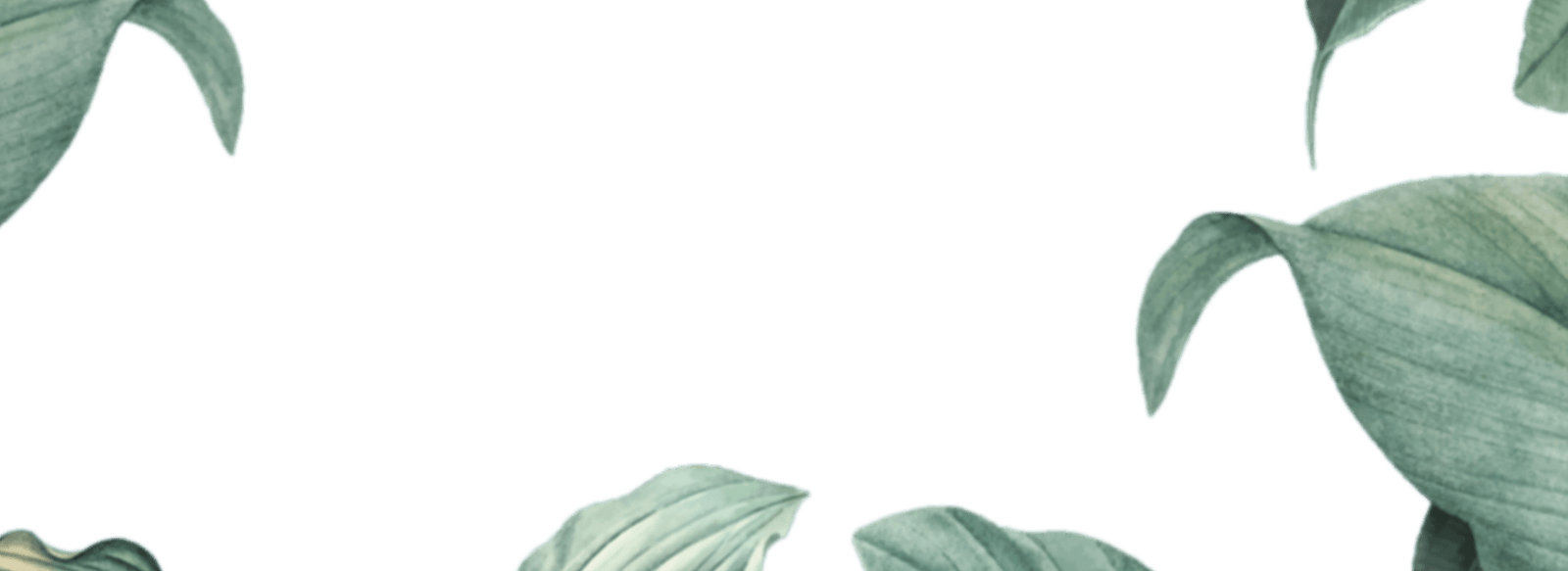 img-slider2 img-slider2