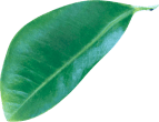 img-slider31.png